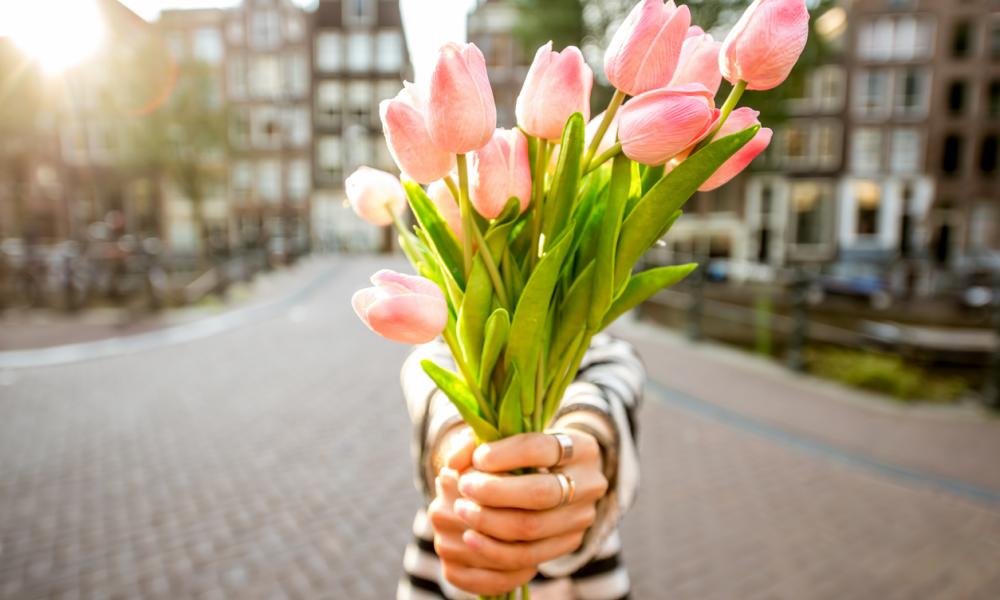 De taal van de bloemen