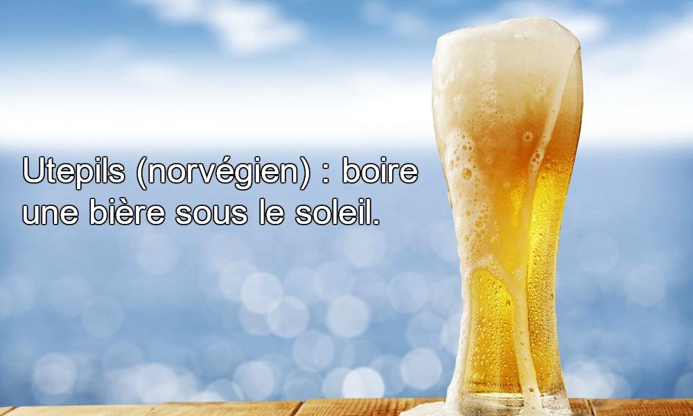 mots intraduisibles