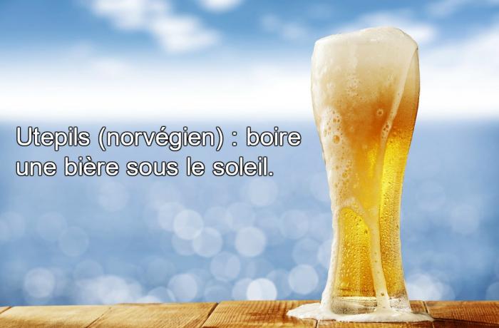 mots intraduisibles